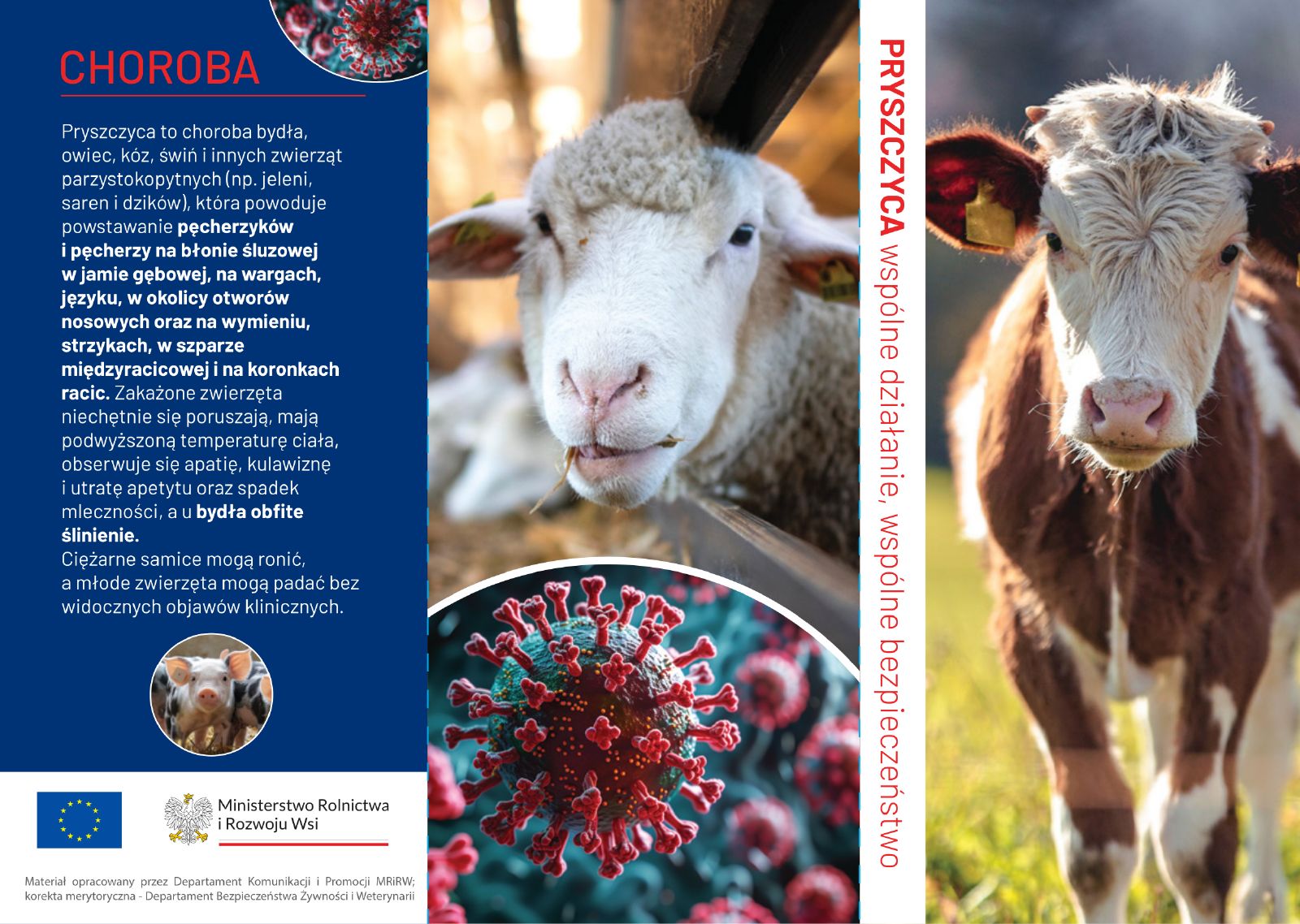 PRYSZCZYCA wspólne działanie, wspólne bezpieczeństwo - 1 strona ulotki - treść w artykule