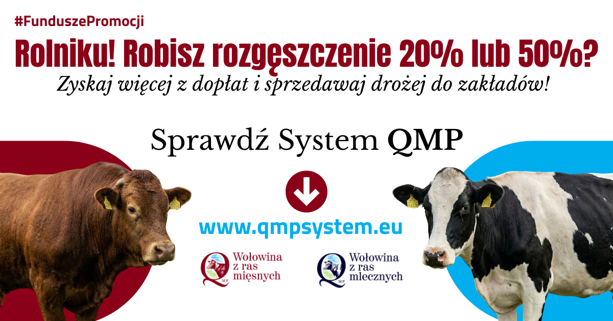 Baner "Sprawdź System QMP"