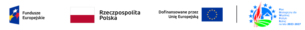 loga Fundusze Europejskie - Flaga RP - Dofinansowano przez UE - PSdQPR na lata 2023 2027